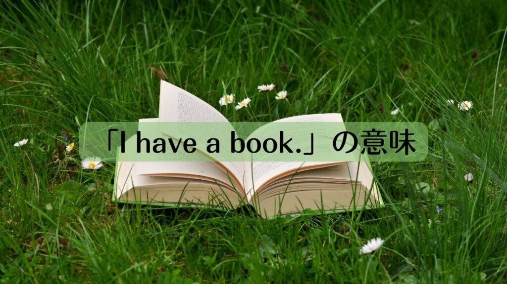 草の上に一冊の本が置かれています。その本は真ん中ほどで開いた状態になっていて、本の周りには白い花が咲いています。「I have a book.」という英文の意味を理解しやすくするための画像です。