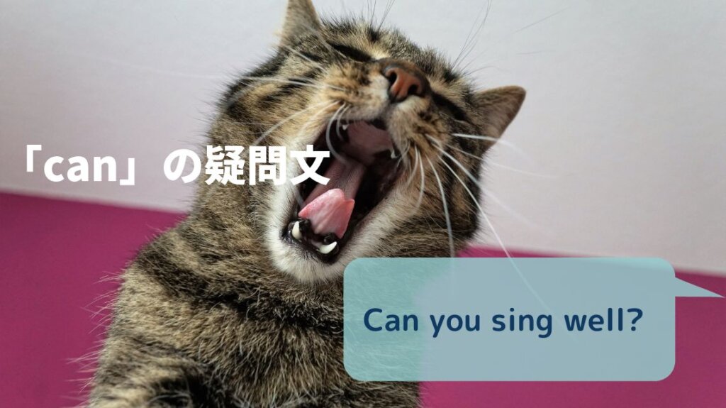 猫が大きな口を開けてあくびをしています。この写真を猫が歌を歌っていると見立てて「Can you sing well?」という英文の意味を分かりやすくするために選びました。