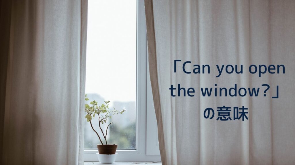 窓際に植物の鉢植えがあります、「Can you open the window?」という英文の意味を補足するためです。
