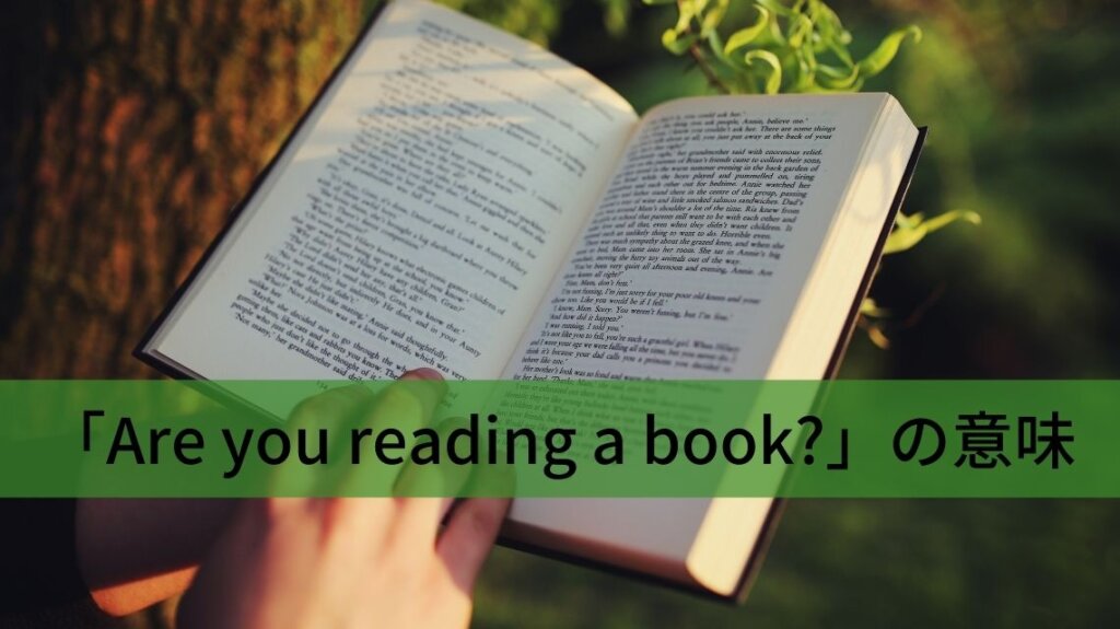 木陰で本を読んでいる人の写真です。本屋英語で書かれています。「Are you reaading a book?」という英文の説明のために選びました。