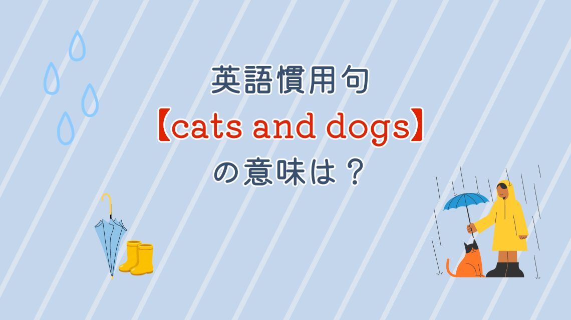 英語慣用句【cats and dogs】の意味は？なぜ「It's raining cats and dogs」で土砂降りの意味になるの？