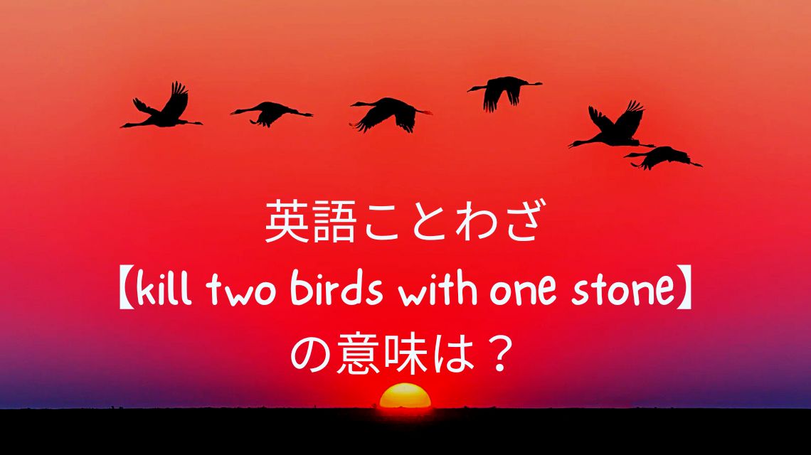 英語ことわざ【kill two birds with one stone】の意味は？例文で使い方を解説！